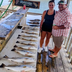 Speckled Trout / Spotted Seatrout fishing in Dickinson, Texas