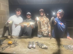 Black Drum, Sheepshead Fishing in Palacios, Texas