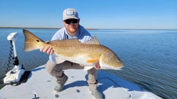 Redfish Fishing in Golden Meadow, Louisiana