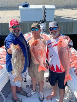 Red Snapper Fishing in Clearwater, Florida