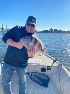 Sheepshead Fishing in Galveston, Texas