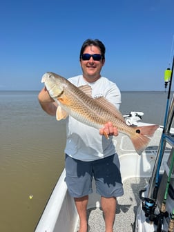 Redfish, Sheepshead Fishing in Buras, Louisiana