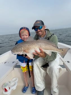 Fishing in Sarasota, Florida