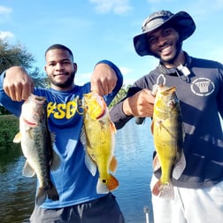 Striped Bass Fishing in Delray Beach, Florida