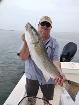 Redfish fishing in Hatteras, North Carolina