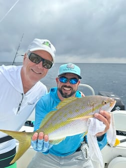 Yellowtail Snapper Fishing in Tavernier, Florida