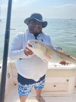 Redfish Fishing in Galveston, Texas