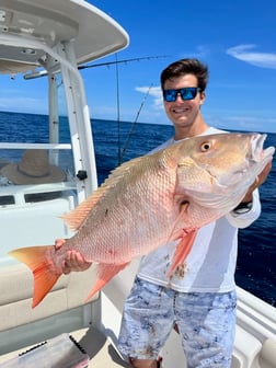 Mutton Snapper Fishing in Layton Key, Florida