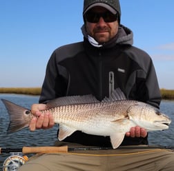 Redfish Fishing in Apalachicola, Florida