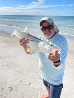 Fishing in Sarasota, Florida