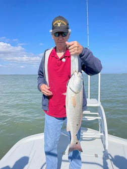 Speckled Trout / Spotted Seatrout Fishing in South Padre Island, Texas