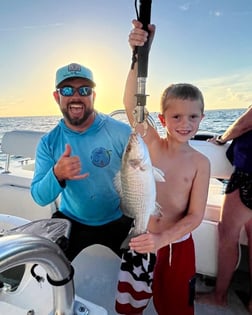 Yellowtail Snapper Fishing in Tavernier, Florida