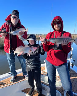 Gag Grouper Fishing in Little River, South Carolina