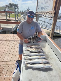 Fishing in Jacksonville, Florida