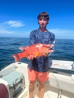 Hogfish Fishing in Madeira Beach, Florida