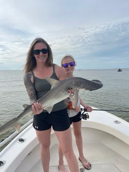 Bull Shark Fishing in Tampa, Florida