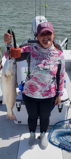 Redfish Fishing in Corpus Christi, Texas