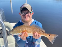 Black Drum Fishing in Jacksonville Beach, Florida