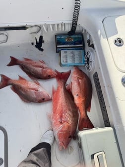 Fishing in Santa Rosa Beach, Florida