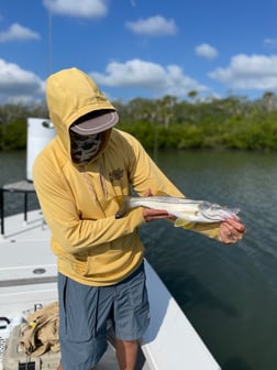 Redfish Fishing in New Smyrna Beach, Florida