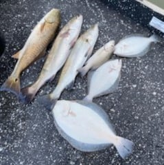 Shrimp fishing in St. Augustine, Florida