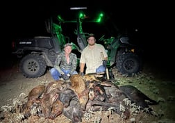 Hog Hunting in Fulshear, Texas