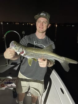 Snook Fishing in Jupiter, Florida