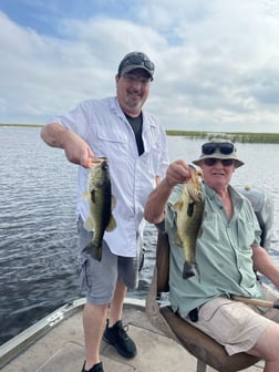 Largemouth Bass Fishing in Lake Okeechobee, Florida