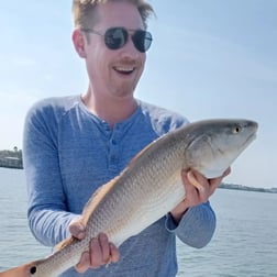 Redfish Fishing in Clearwater, Florida