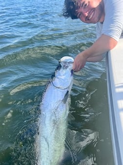 Tarpon fishing in Miami Beach, Florida