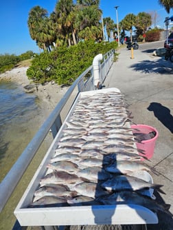 Fishing in Clearwater, Florida