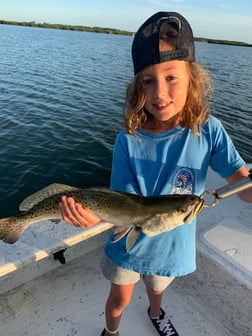 Speckled Trout Fishing in New Smyrna Beach, Florida