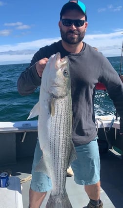 Striped Bass fishing in Barnstable, Massachusetts