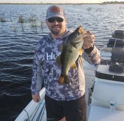 Largemouth Bass Fishing in Okeechobee, Florida, USA