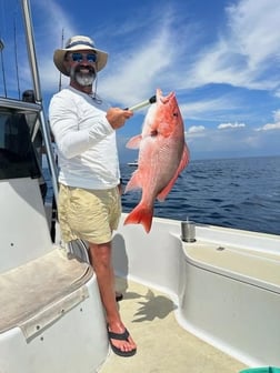 Amberjack Fishing in Panama City Beach, Florida