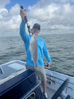 Redfish, Speckled Trout Fishing in Galveston, Texas