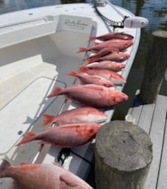 Red Snapper Fishing in Santa Rosa Beach, Florida