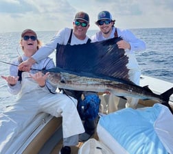 Sailfish Fishing in Clearwater, Florida