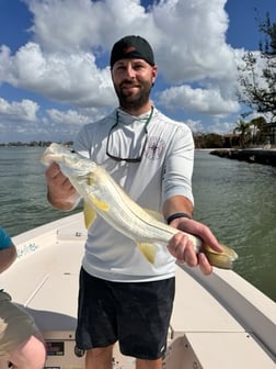 Fishing in Sarasota, Florida