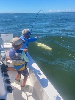 Tarpon fishing in Jacksonville Beach, Florida