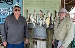 Snook Fishing in Crystal River, Florida