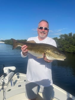 Snook Fishing in Tampa, Florida