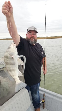 Black Drum Fishing in Rockport, Texas