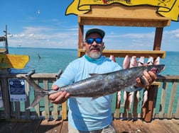 Red Snapper Fishing in Port Isabel, Texas