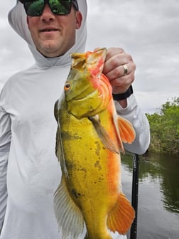 Fishing in Fort Lauderdale, Florida