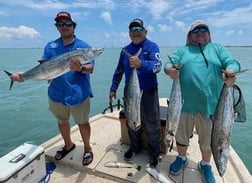 Kingfish Fishing in Port Isabel, Texas