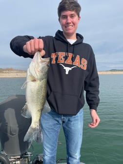 Largemouth Bass Fishing in Austin, Texas