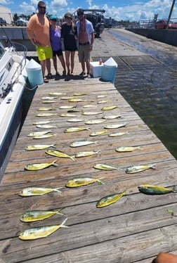 Kingfish, Lane Snapper, Mahi Mahi Fishing in Panama City, Florida