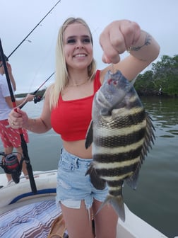 Fishing in Fort Myers Beach, Florida