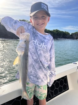 Snook fishing in Fort Myers, Florida